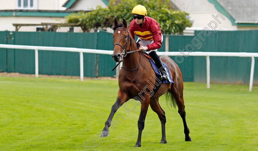 Joycean-Way-0001 
 JOYCEAN WAY (Jack Mitchell)
Yarmouth 20 Sep 2023 - Pic Steven Cargill / Racingfotos.com