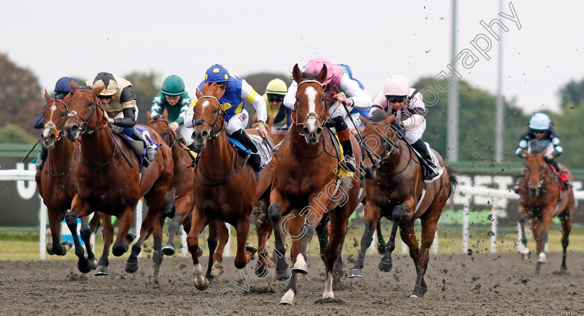 Brave-Mission-0005 
 BRAVE MISSION (Rossa Ryan) wins The Racing TV British Stallion Studs EBF Novice Stakes
Kempton 6 Sep 2024 - Pic Steven Cargill / Racingfotos.com