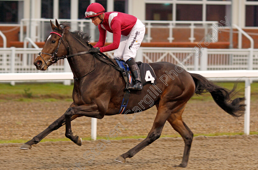 Colonize-0003 
 COLONIZE (Jim Crowley) before The Extra Places At totesport.com Novice Stakes
Chelmsford 25 Nov 2019 - Pic Steven Cargill / Racingfotos.com