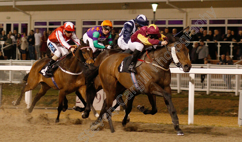 Executive-Force-0001 
 EXECUTIVE FORCE (John Egan) wins The Bet totequadpot At totesport.com Handicap
Chelmsford 21 Feb 2019 - Pic Steven Cargill / Racingfotos.com