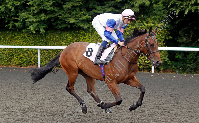 We-Sea-You-0001 
 WE SEA YOU (Hector Crouch)
Kempton 16 Jul 2024 - Pic Steven Cargill / Racingfotos.com