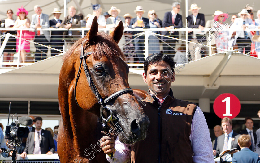 Lightning-Spear-0019 
 LIGHTNING SPEAR after The Qatar Sussex Stakes
Goodwood 1 Aug 2018 - Pic Steven Cargill / Racingfotos.com