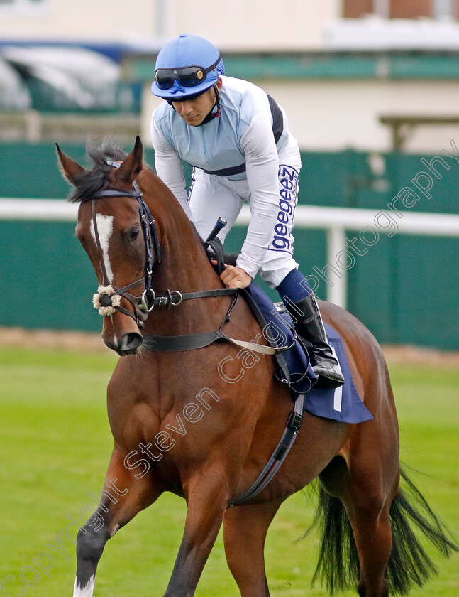 Premiere-Beauty-0001 
 PREMIERE BEAUTY (Marco Ghaini)
Yarmouth 19 Sep 2023 - Pic Steven Cargill / Racingfotos.com