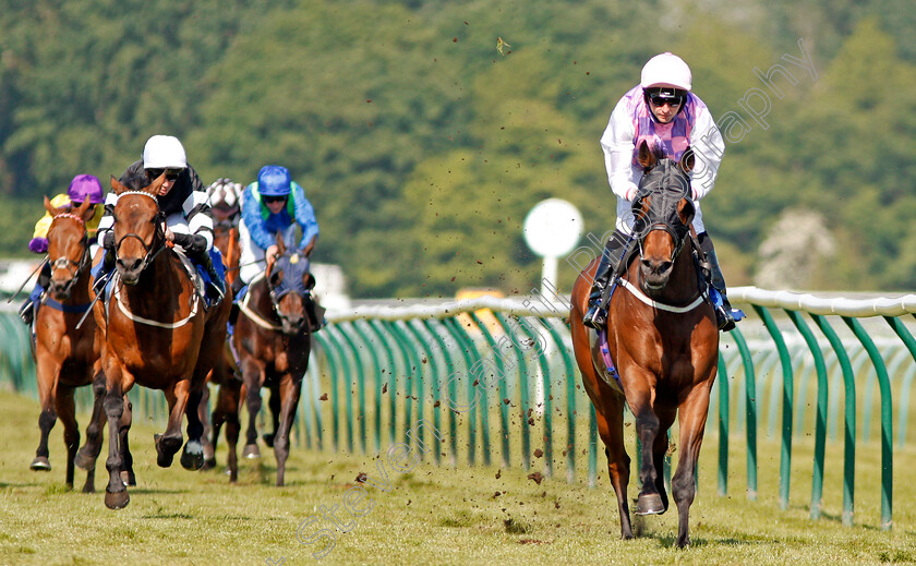 Northwest-Frontier-0003 
 NORTHWEST FRONTIER (Tony Hamilton) wins The Download The App At 188bet Handicap Nottingham 22 May 2018 - Pic Steven Cargill / Racingfotos.com