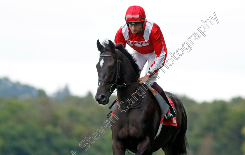 Berkshire-Smudge-0002 
 BERKSHIRE SMUDGE (Rob Hornby)
Sandown 8 Aug 2024 - Pic Steven Cargill / Racingfotos.com