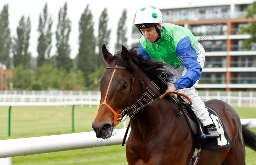 Swinley-Forest-0001 
 SWINLEY FOREST (Martin Dwyer)
Newbury 13 Jun 2019 - Pic Steven Cargill / Racingfotos.com