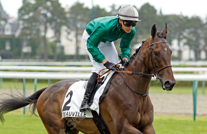 Kenstill-0002 
 KENSTILL (E Carallo)
Deauville 3 Aug 2024 - Pic Steven Cargill / Racingfotos.com