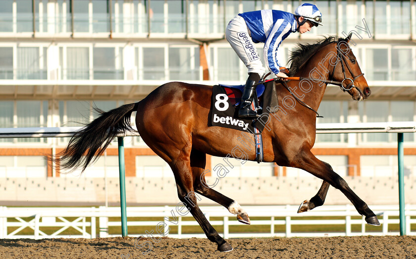 Main-Street-0002 
 MAIN STREET (David Probert)
Lingfield 2 Feb 2019 - Pic Steven Cargill / Racingfotos.com