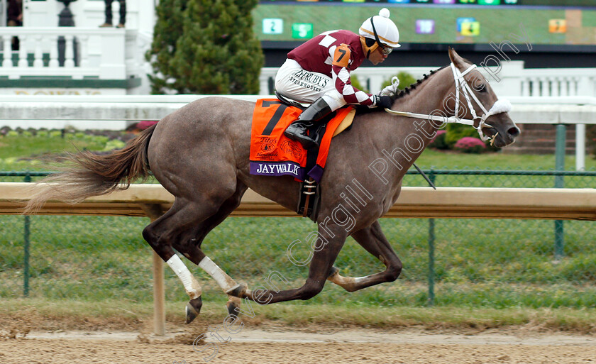 Jaywalk-0003 
 JAYWALK (Joel Rosario) wins The Breeders' Cup Juvenile Fillies
Churchill Downs 2 Nov 2018 - Pic Steven Cargill / Racingfotos.com