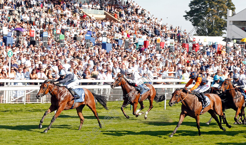 Alligator-Alley-0002 
 ALLIGATOR ALLEY (Donnacha O'Brien) wins The Julia Graves Roses Stakes
York 24 Aug 2019 - Pic Steven Cargill / Racingfotos.com