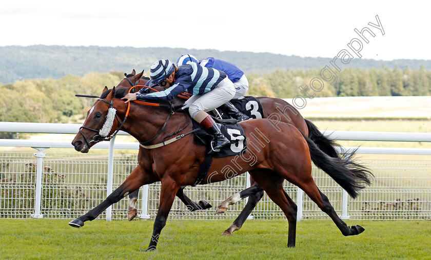 Wholelotafun-0004 
 WHOLELOTAFUN (Laura Coughlan) wins The Chichester Observer Nursery
Goodwood 28 Aug 2020 - Pic Steven Cargill / Racingfotos.com