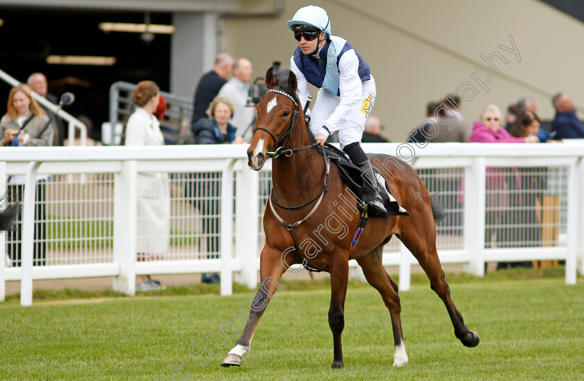 Tanager-0002 
 TANAGER (Charles Bishop)
Ascot 1 May 2024 - Pic Steven Cargill / Racingfotos.com