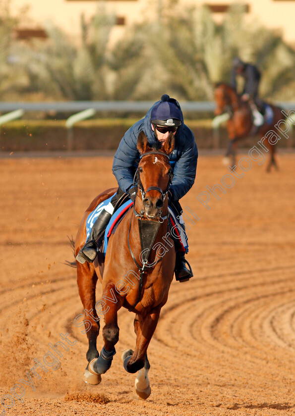 Sir-Dancealot-0001 
 SIR DANCEALOT preparing for the 1351 Cup
Riyadh Racecourse, Kingdom of Saudi Arabia 26 Feb 2020 - Pic Steven Cargill / Racingfotos.com