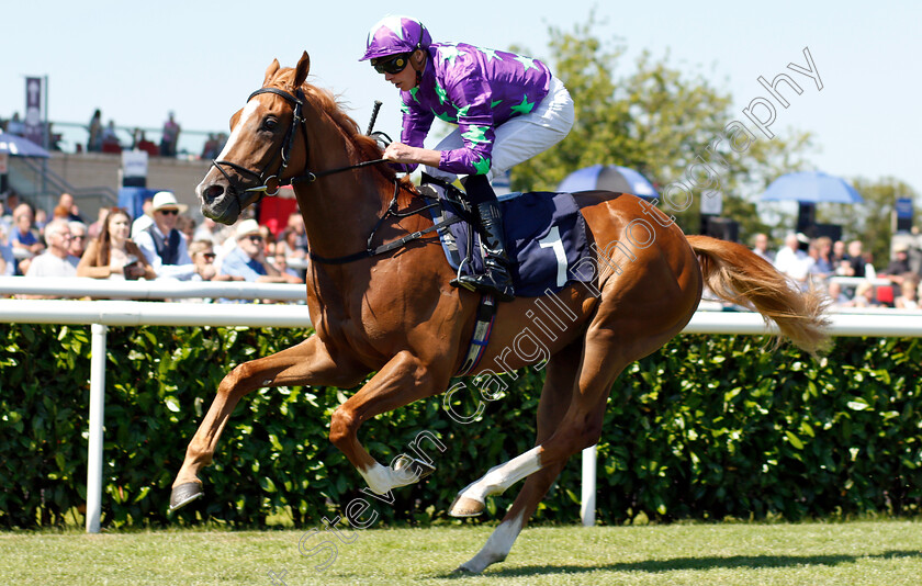 Blonde-Warrior-0005 
 BLONDE WARRIOR (James Doyle) wins The Edmond Shipway Novice Stakes
Doncaster 29 Jun 2018 - Pic Steven Cargill / Racingfotos.com