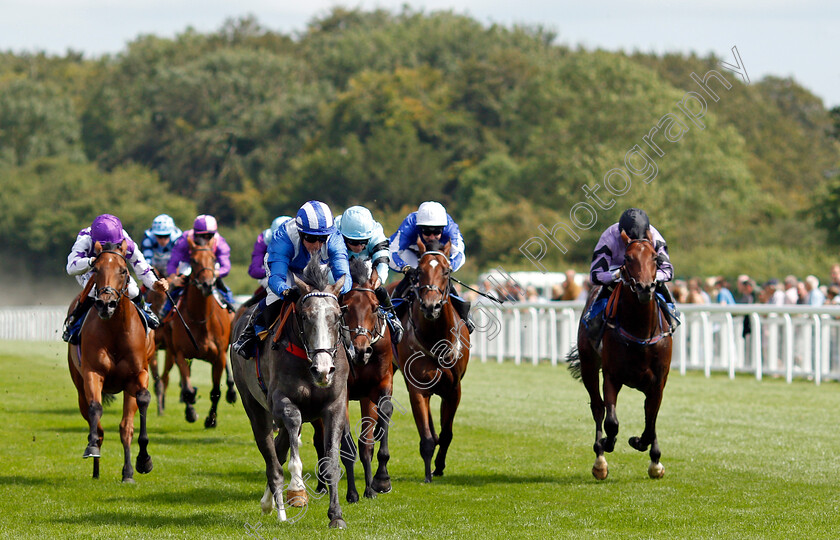 Ribhi-0004 
 RIBHI (Jim Crowley) wins The Byerley Stud British EBF Novice Stakes Div2
Salisbury 11 Aug 2021 - Pic Steven Cargill / Racingfotos.com