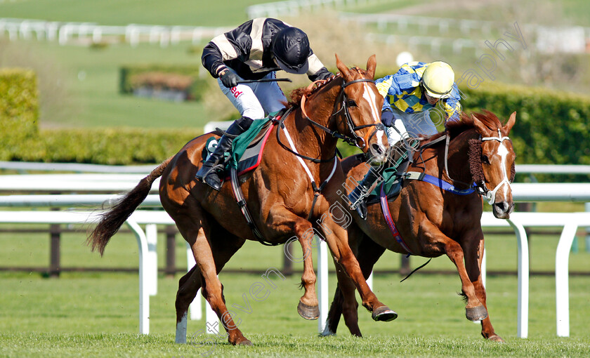 Winter-Lion-0003 
 WINTER LION (left, Paddy Brennan) beats TANARPINO (right) in The Nicholson Holman Handicap Chase Cheltenham 18 Apr 2018 - Pic Steven Cargill / Racingfotos.com