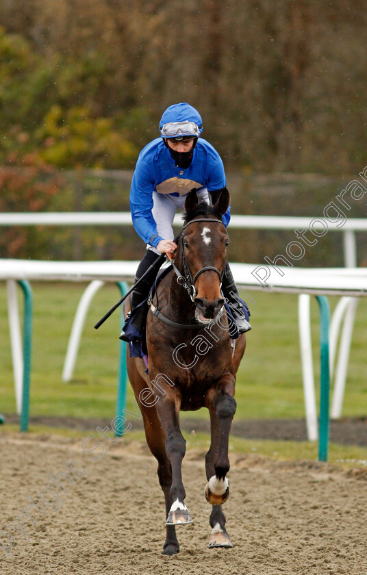 New-Heights-0001 
 NEW HEIGHTS (George Downing)
Lingfield 26 Mar 2021 - Pic Steven Cargill / Racingfotos.com