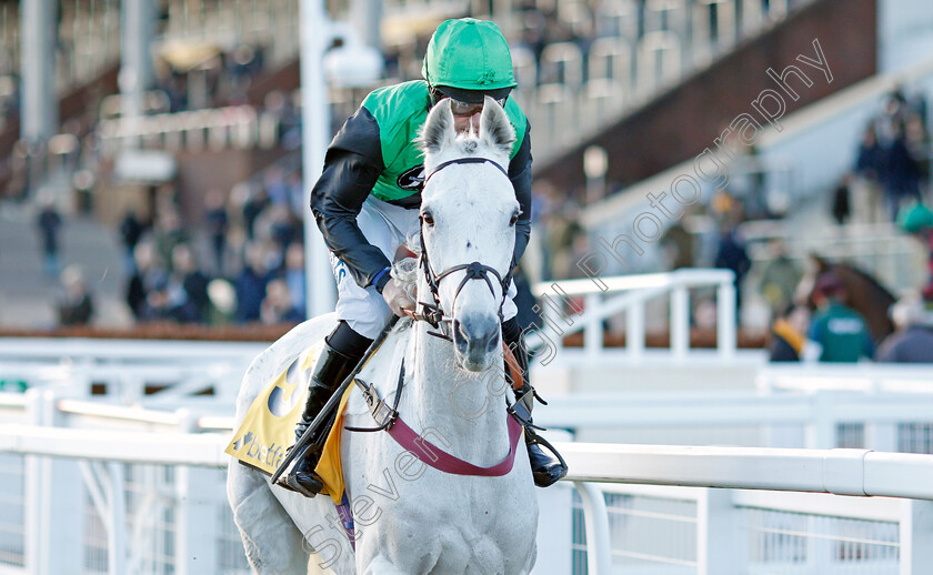 Commodore-0004 
 COMMODORE (Charlie Deutsch) winner of The Betfair Handicap Chase
Cheltenham 10 Dec 2021 - Pic Steven Cargill / Racingfotos.com