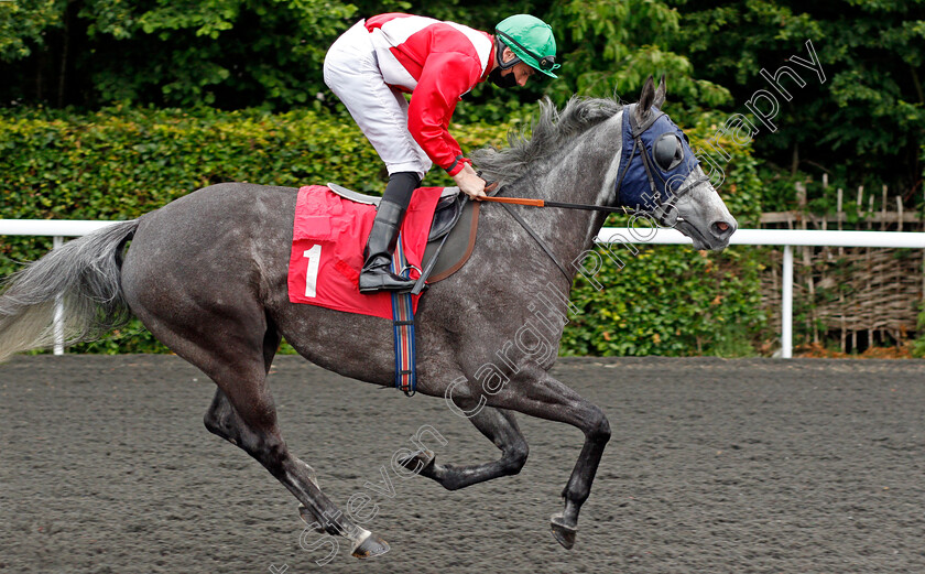 Signorinadoro-0001 
 SIGNORINADORO (Callum Shepherd)
Kempton 2 Jun 2021 - Pic Steven Cargill / Racingfotos.com