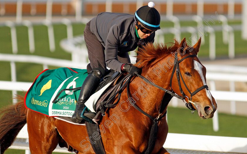 Derma-Sotogake-0006 
 DERMA SOTOGAKE training for The Saudi Cup
King Abdulaziz Racecourse, Saudi Arabia 20 Feb 2024 - Pic Steven Cargill / Racingfotos.com