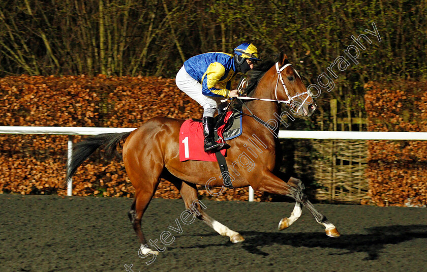 Albadri-0001 
 ALBADRI (Richard Kingscote)
Kempton 3 Mar 2021 - Pic Steven Cargill / Racingfotos.com