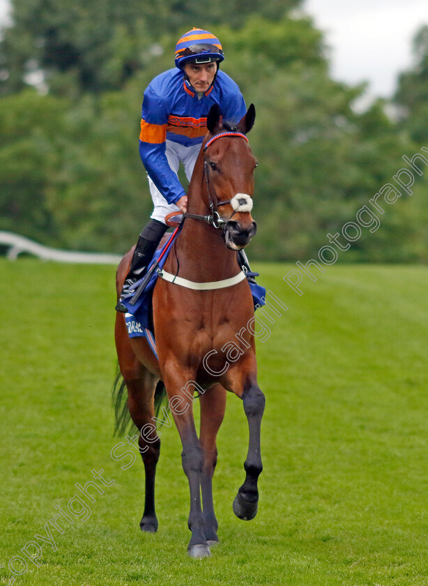 Enemy-0001 
 ENEMY (Daniel Tudhope)
Sandown 26 May 2022 - Pic Steven Cargill / Racingfotos.com