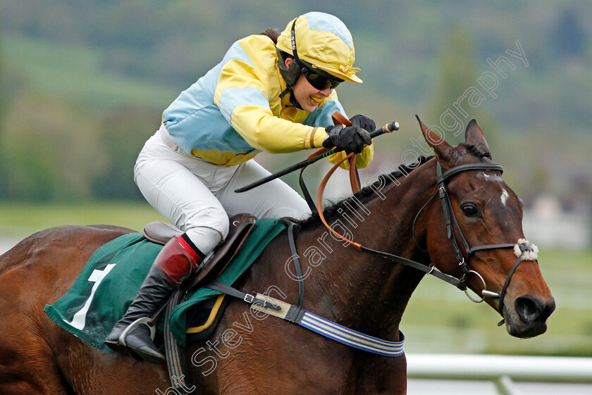 Popaway-0009 
 POPAWAY (Immy Robinson) wins The Visit cheltenham.com Mares Open Hunters Chase Cheltenham 4 May 2018 - Pic Steven Cargill / Racingfotos.com