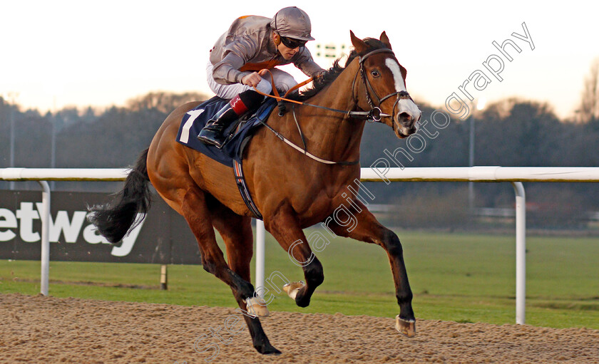 Eglish-0005 
 EGLISH (Ben Curtis) wins The Ladbrokes Football Acca Boosty Handicap
Wolverhampton 20 Jan 2020 - Pic Steven Cargill / Racingfotos.com