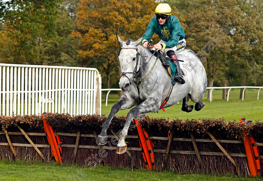 Elmdale-0002 
 ELMDALE (Sam Twiston-Davies)
Fakenham 16 Oct 2020 - Pic Steven Cargill / Racingfotos.com