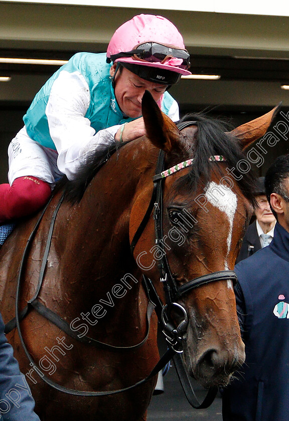 Enable-0023 
 ENABLE (Frankie Dettori) after winning The King George VI and Queen Elizabeth Stakes
Ascot 27 Jul 2019 - Pic Steven Cargill / Racingfotos.com