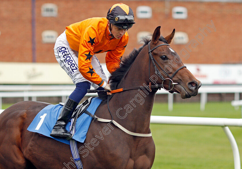 Dora-Penny 
 DORA PENNY (David Probert)
Leicester 12 Oct 2021 - Pic Steven Cargill / Racingfotos.com