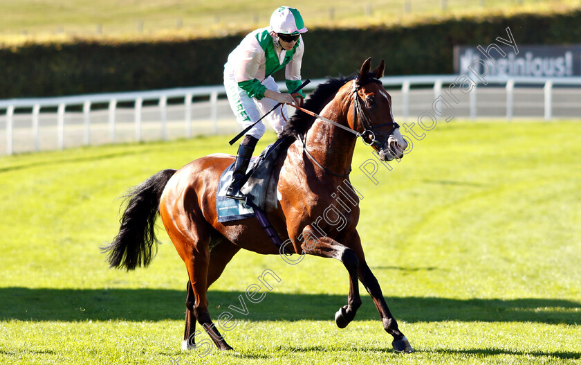 Plutonian-0001 
 PLUTONIAN (Jamie Spencer)
Goodwood 26 Sep 2018 - Pic Steven Cargill / Racingfotos.com