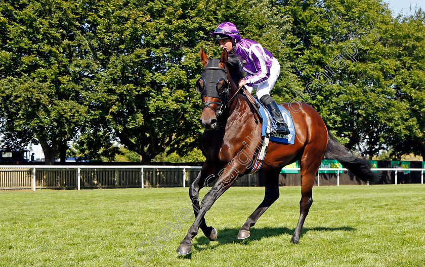 Cadamosto 
 CADAMOSTO (Seamie Heffernan)
Newmarket 9 Jul 2022 - Pic Steven Cargill / Racingfotos.com