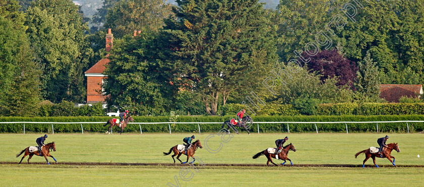 Newmarket-0001 
 Racehorses exercising in Newmarket
1 Jul 2021 - Pic Steven Cargill / Racingfotos.com