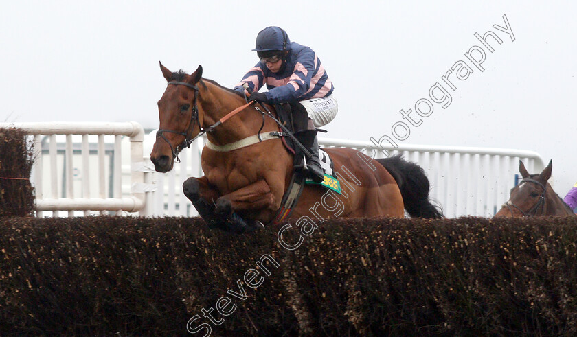 Benatar-0001 
 BENATAR (Jamie Moore)
Ascot 19 Jan 2019 - Pic Steven Cargill / Racingfotos.com