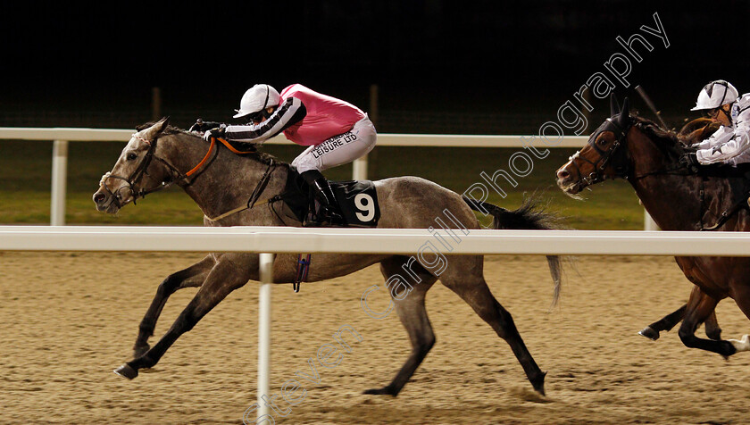 Cappananty-Con-0004 
 CAPPANANTY CON (Robert Winston) wins The Bet totequadpot At betfred.com Handicap Chelmsford 7 Dec 2017 - Pic Steven Cargill / Racingfotos.com