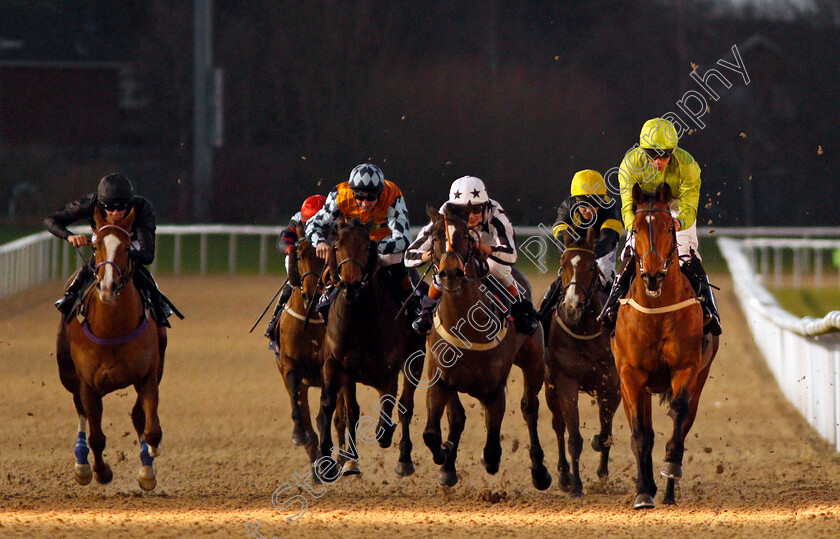 Snaffled-0002 
 SNAFFLED (right, Sean Levey) beats TAKEONEFORTHETEAM (centre) in The 32Red Casino Handicap Wolverhampton 15 Jan 2018 - Pic Steven Cargill / Racingfotos.com