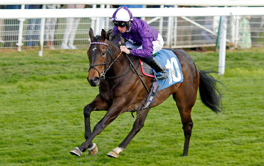 Queen-Olly-0004 
 QUEEN OLLY (Rossa Ryan) wins The Frank Whittle Partnership ebfstallions.com Maiden Stakes
York 12 May 2022 - Pic Steven Cargill / Racingfotos.com