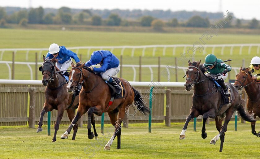 Dhahabi-0003 
 DHAHABI (centre, William Buick) beats AMTIYAZ (right) in The Weatherbys Stallion Book Handicap
Newmarket 22 Sep 2022 - Pic Steven Cargill / Racingfotos.com