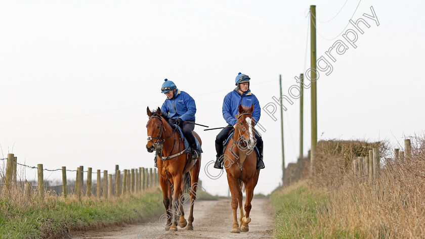 Native-River-0010 
 NATIVE RIVER (right) returning from exercise at Colin Tizzard's stables near Sherborne 21 Feb 2018 - Pic Steven Cargill / Racingfotos.com