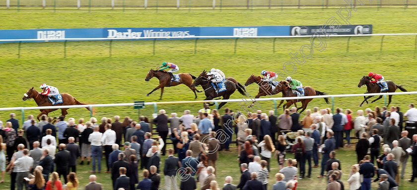 Caballero-0002 
 CABALLERO (Joe Fanning) wins The #mydubai Nursery
Newmarket 13 Oct 2018 - Pic Steven Cargill / Racingfotos.com