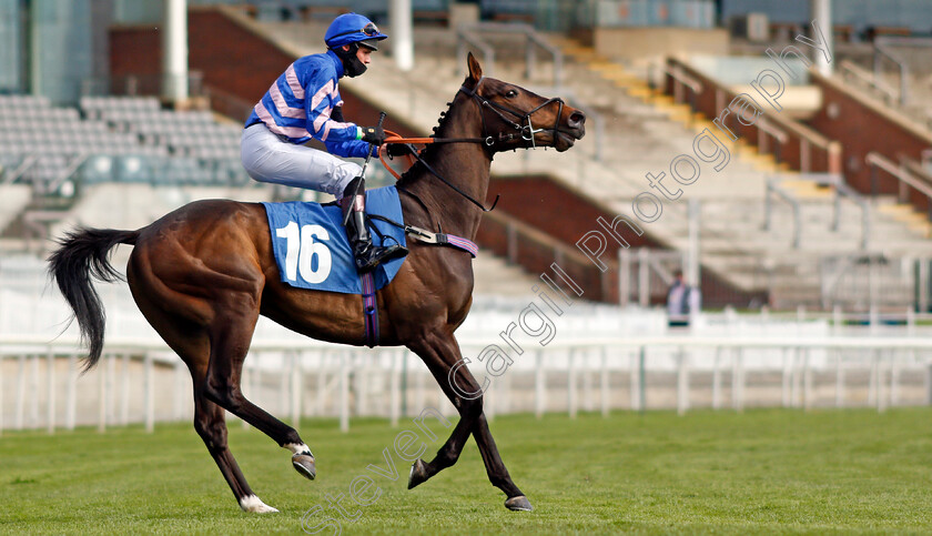 Harmonious-0001 
 HARMONIOUS (Jonathan Fisher)
York 12 May 2021 - Pic Steven Cargill / Racingfotos.com