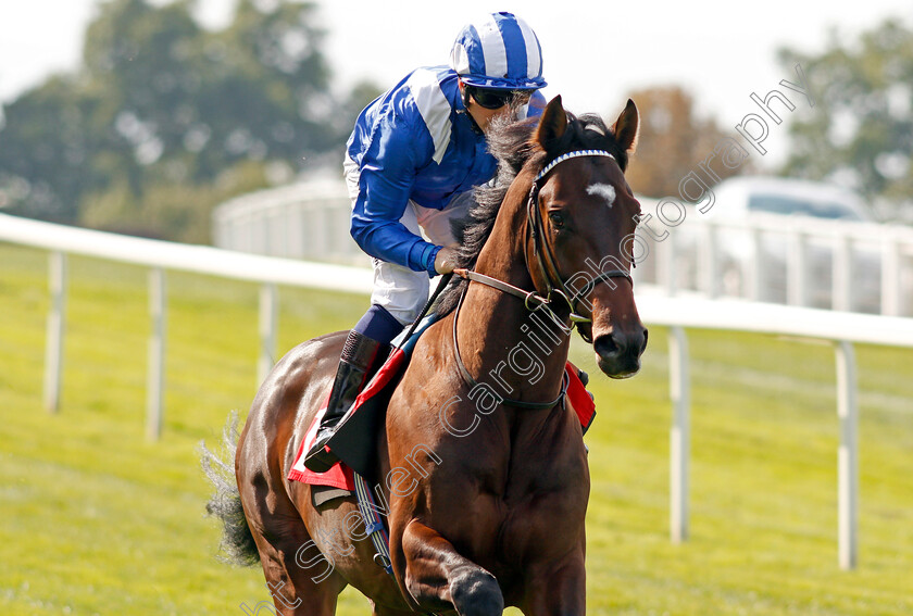 Zaajer-0002 
 ZAAJER (Jim Crowley) Sandown 1 Sep 2017 - Pic Steven Cargill / Racingfotos.com