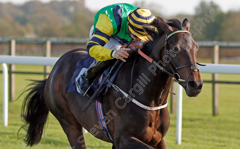 Midnights-Legacy-0009 
 MIDNIGHTS LEGACY (Tom Marquand) wins The Download The Star Sports App Now EBF Novice Stakes
Bath 16 Oct 2019 - Pic Steven Cargill / Racingfotos.com