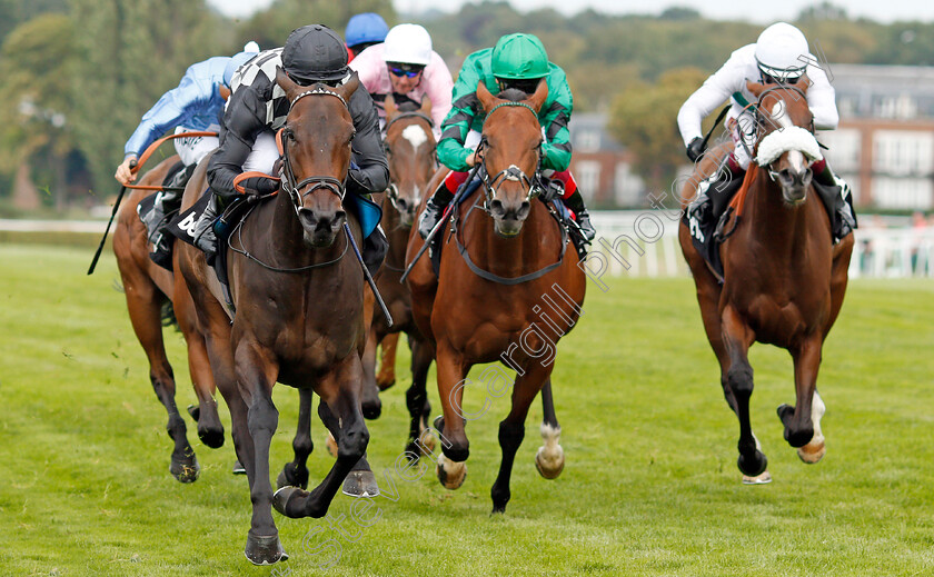 Lavender s-Blue-0003 
 LAVENDER'S BLUE (Jim Crowley) wins The Betway Atalanta Stakes
Sandown 31 Aug 2019 - Pic Steven Cargill / Racingfotos.com