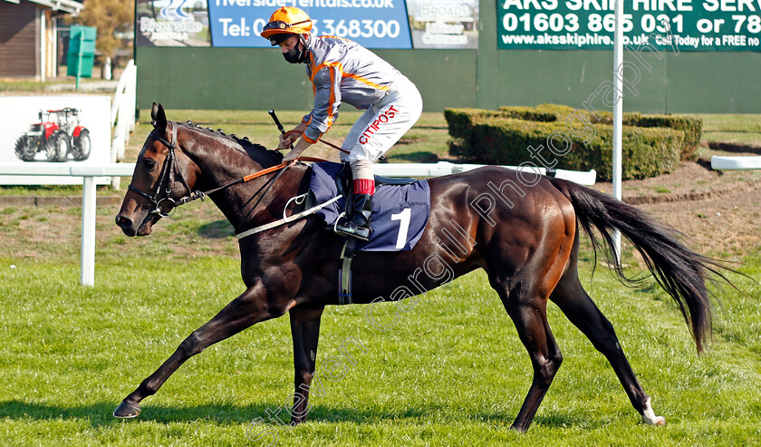 Toussarok-0001 
 TOUSSAROK (Franny Norton)
Yarmouth 15 Sep 2020 - Pic Steven Cargill / Racingfotos.com