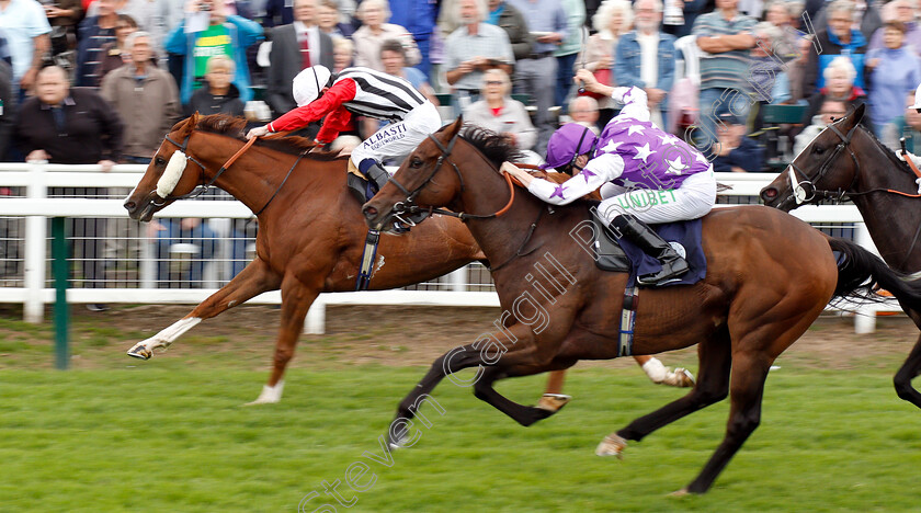 Mazzini-0003 
 MAZZINI (Oisin Murphy) beats POLYBIUS (right) in The Infobond Personnel Services 25th Anniversary Handicap
Yarmouth 20 Sep 2018 - Pic Steven Cargill / Racingfotos.com