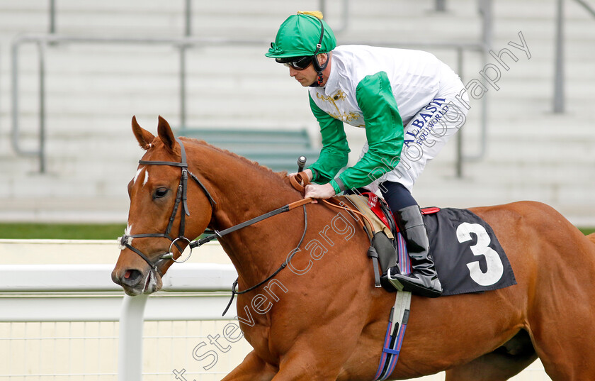 Bakeel-0001 
 BAKEEL (Jack Mitchell) winner of The Royal Ascot Two-Year-Old Trial Conditions Stakes
Ascot 27 Apr 2022 - Pic Steven Cargill / Racingfotos.com