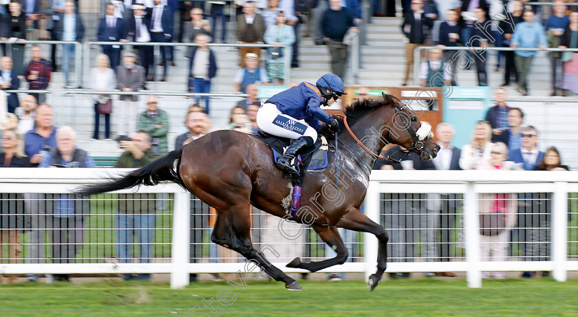 Alazwar-0001 
 ALAZWAR (Brodie Hampson) wins The Thoroughbred Industry Employee Awards Amateur Jockeys Handicap
Ascot 6 Oct 2023 - Pic Steven Cargill / Racingfotos.com