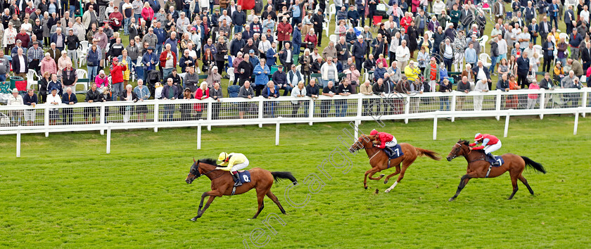 Tajanis-0004 
 TAJANIS (Cieren Fallon) wins The Moulton Nurseries Handicap
Yarmouth 21 Sep 2023 - Pic Steven Cargill / Racingfotos.com